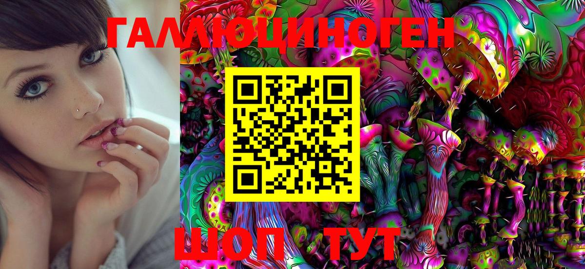 Кириши  Галлюциногенные грибы MAGIC MUSHROOMS  цена наркотик  Вход с VPN 