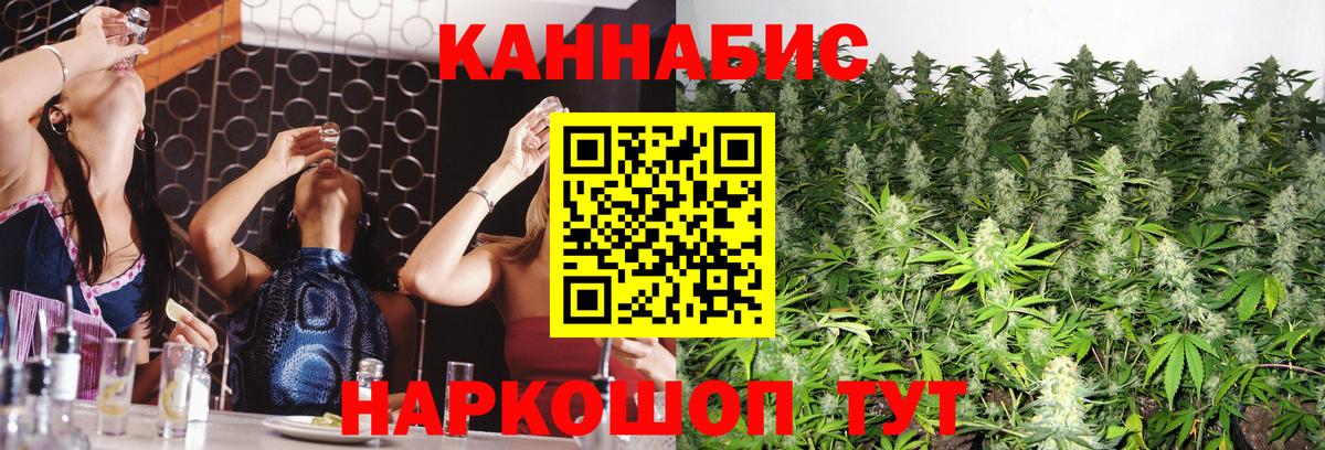 Шишки марихуана ГИДРОПОН Кириши